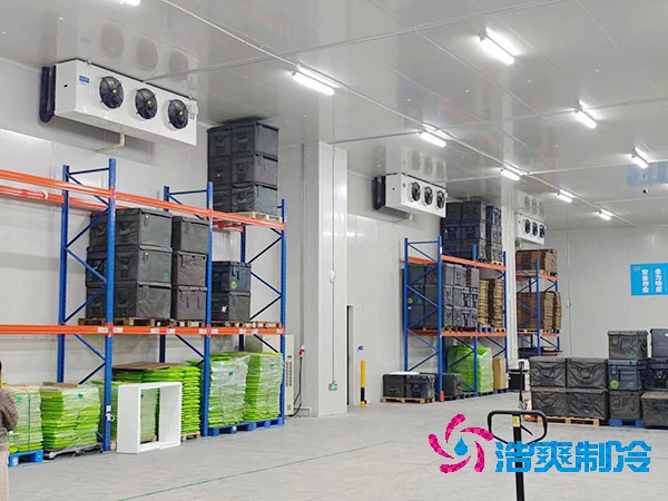 大型水蜜桃在线视频造价多少钱