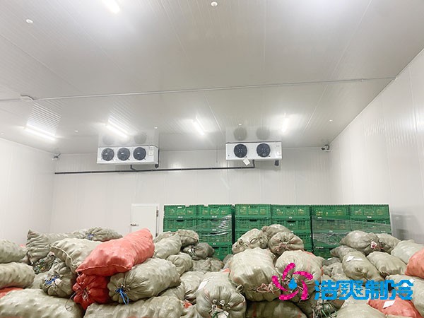 大型水蜜桃在线视频建设造价多少钱