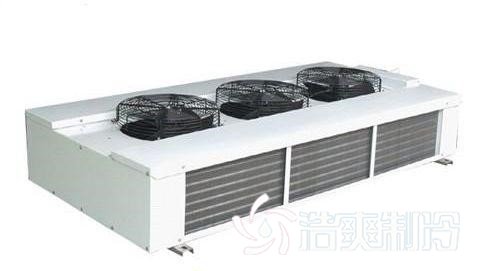 顶出风_蜜桃视频观看在线制冷