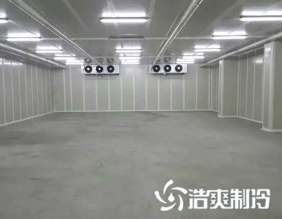 气调水蜜桃在线视频建造_蜜桃视频观看在线制冷