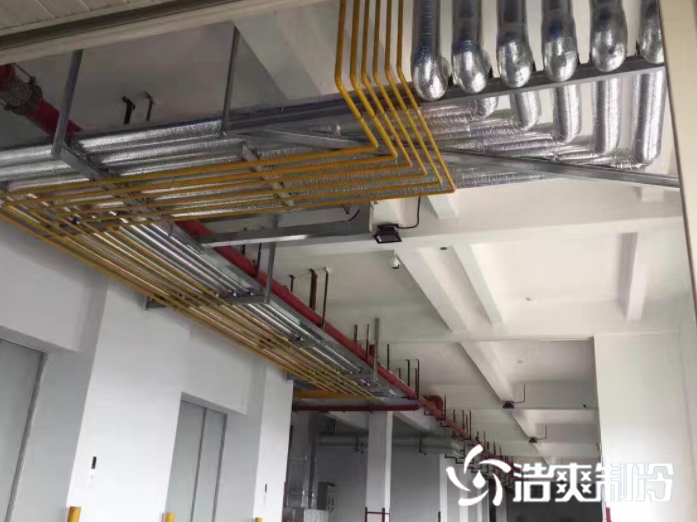 氟利昂系统_蜜桃视频观看在线制冷
