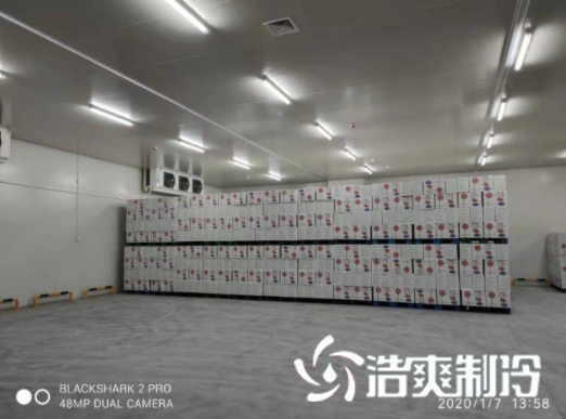 安徽洽洽49500m³食品加工水蜜桃在线视频建造
