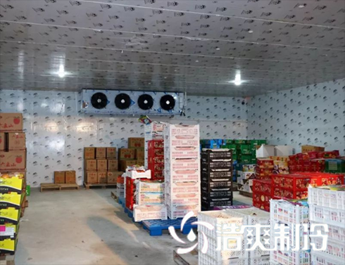 食品水蜜桃在线视频造价预算