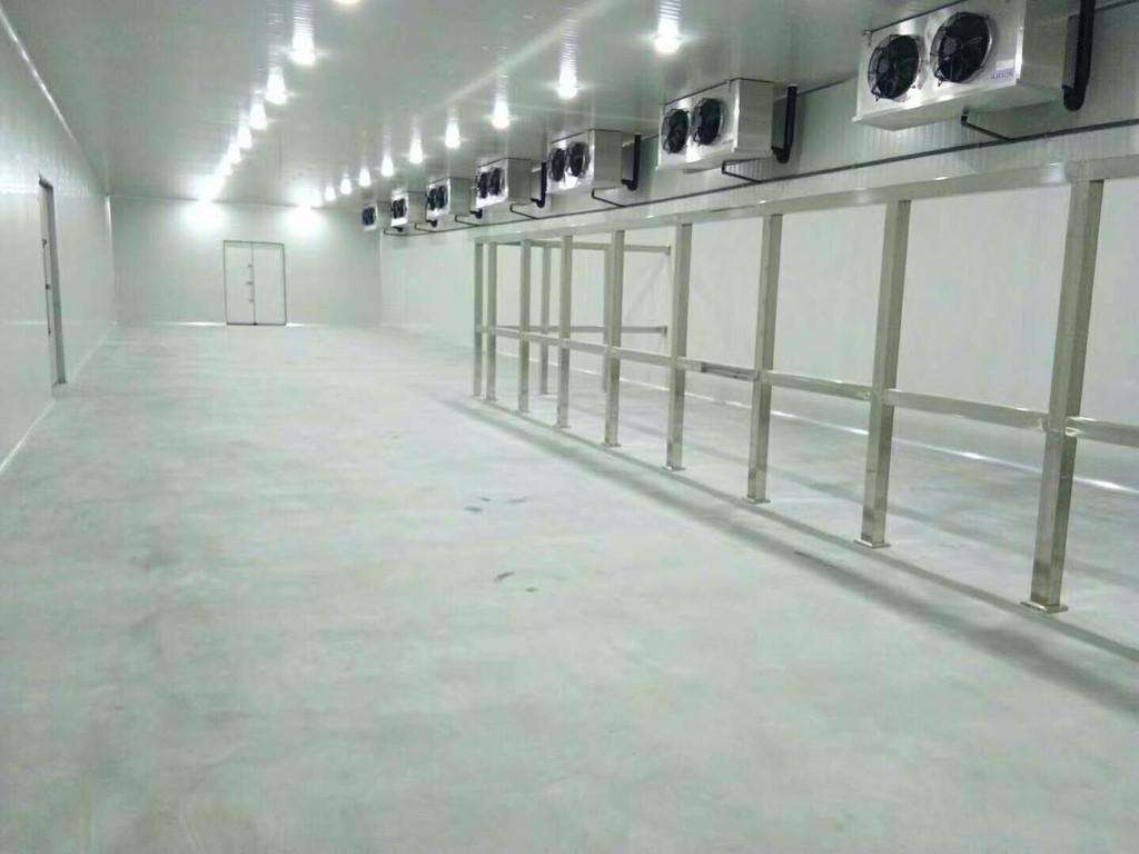 蜜桃视频观看在线制冷、海鲜水蜜桃在线视频
