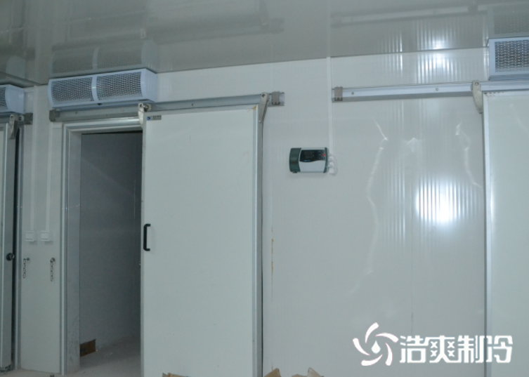冷冻水蜜桃在线视频建造_蜜桃视频观看在线制冷
